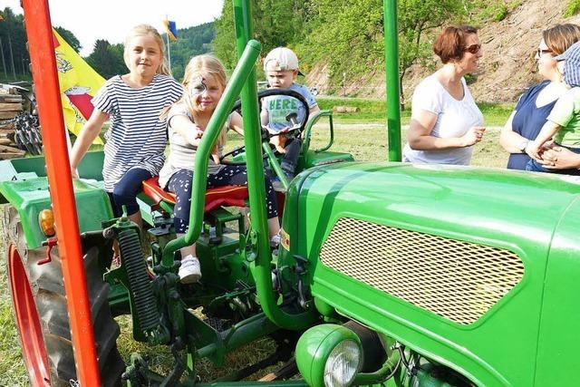 Fotos: 25. Schleppertreffen in Diersburg