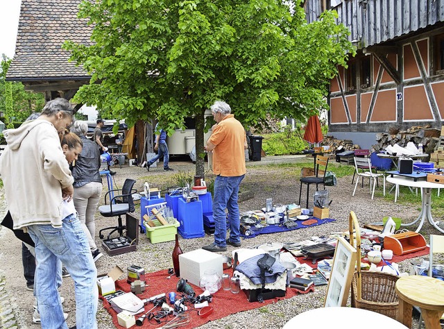 Sogar an diesem idyllischen Standort v...d lieen sich von der Sonne verwhnen.  | Foto: Edgar Steinfelder