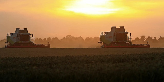 Keine Agrarindustrie, aber auch keine ...In Tunsel wird ein neuer Weg gesucht.   | Foto: Jens Wolf (dpa)