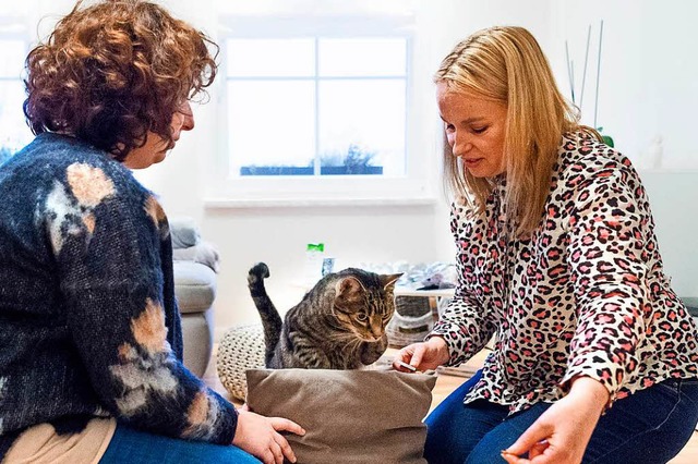 Melanie Erker hat Katzentherapeutin Dexel zu sich nach Hause eingeladen.  | Foto: Christophe Gateau