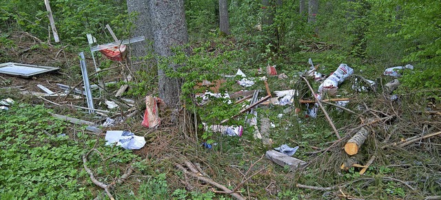 Die freie Natur wurde wieder einmal zu...e und einer saftigen Geldbue rechnen.  | Foto: Christa Maier