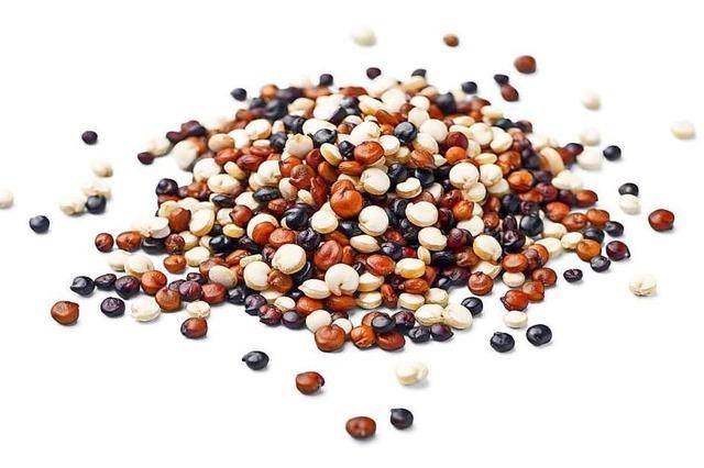 Eiweißreiches Korn: der Quinoa
