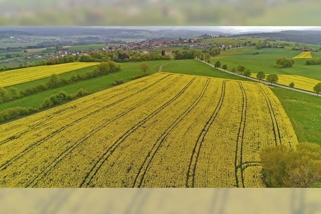 Gelbgrne Landschaft