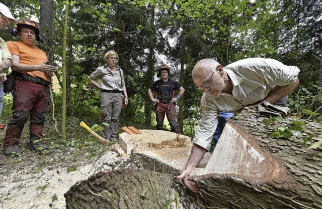 Forstwirt Klaus Echle (rechts) erklrt...ng, wie man einen Baum richtig fllt.   | Foto: T. Kunz