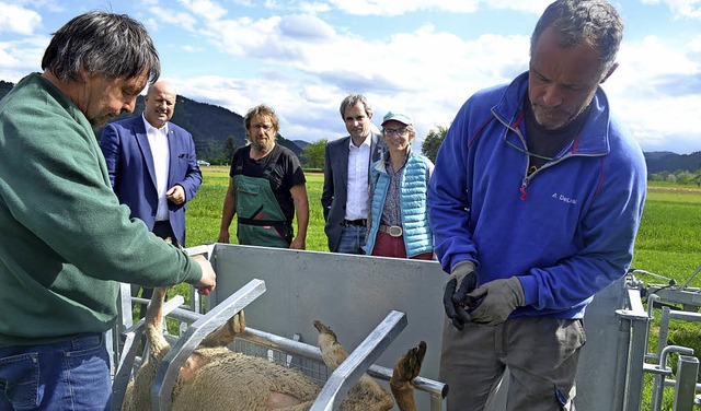 Vorstellung des Pflegestandes, im Hint...ermann (Landschaftserhaltungsverband)   | Foto: Harald Rudolf