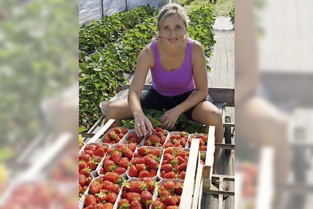 Erdbeerbauern geben sich optimistisch