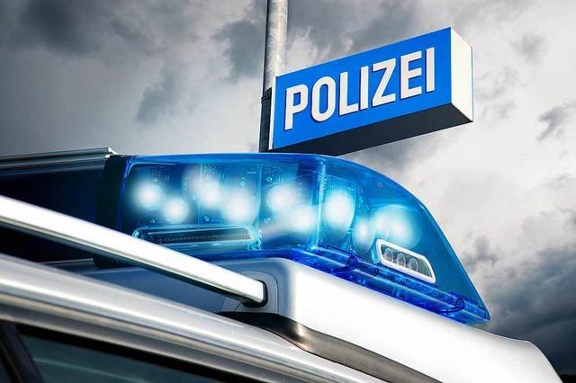 Kennzeichen von Polizeiauto in Waldkirch entwendet