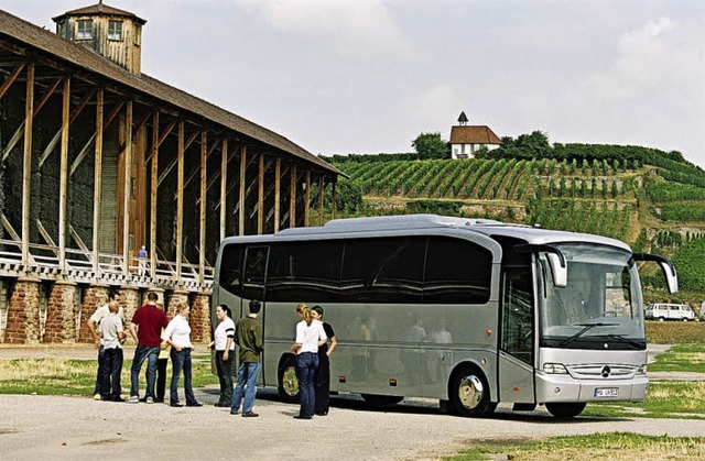 Wein und Kultur &#8211; mit dem Bus auf Tour  | Foto: BDO