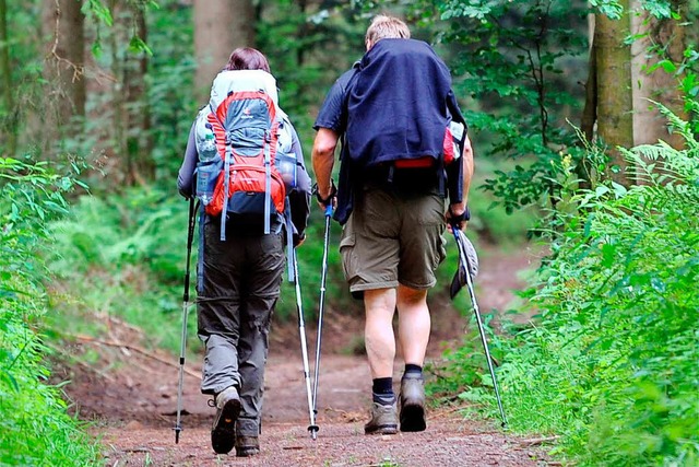 Verwunschene Wege im Schwarzwald  | Foto: dpa