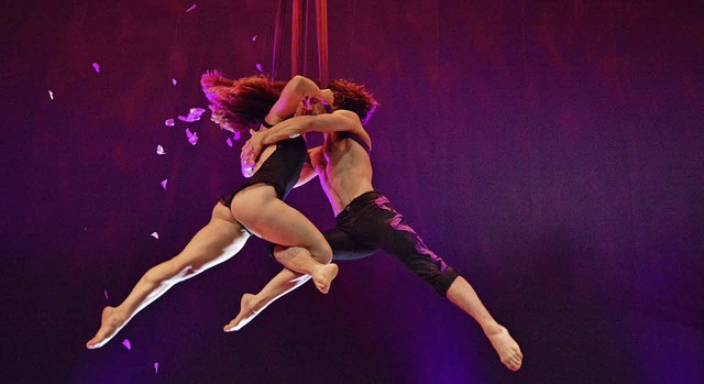 Camille und Louis Marc  sind auch im e...oung Staghe in Basel am Vertikaltuch.   | Foto:  Barbara Ruda