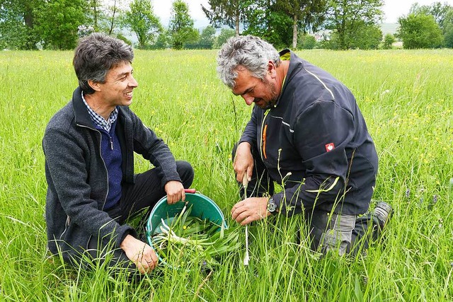 Landwirt Jrg Danner (rechts) und Rein...em Spargelstecher aus dem Boden holen.  | Foto: Nikola Vogt