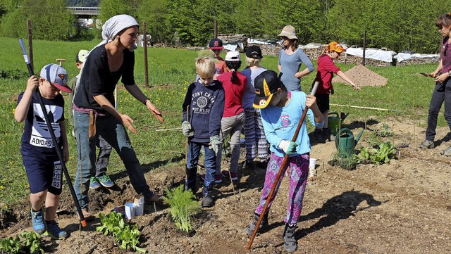 Sehr konzentriert arbeiteten die Dritt...eitung der Projektleiter auf dem Feld.  | Foto: Karin Hei