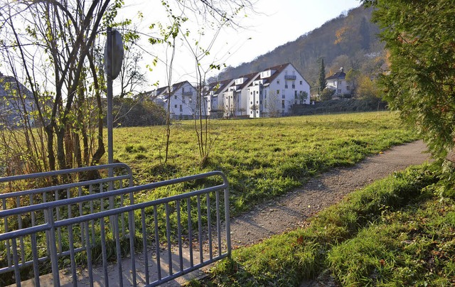 Das Neubaugebiet Soormattbach in Hauin...genden Klage nicht erschlossen werden.  | Foto: Britta Wieschenkmper