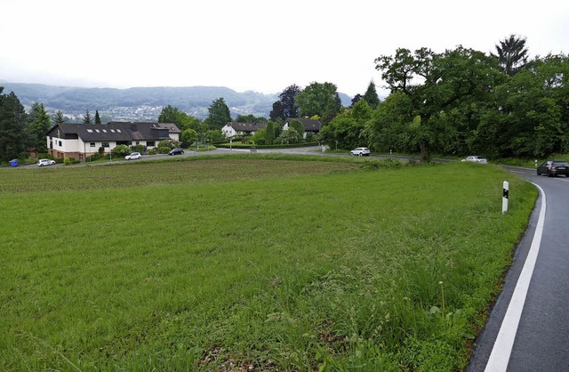 Bis zu 180 Wohnungen sollen am nrdlic...tadtrand von Bad Sckingen entstehen.   | Foto: Axel Kremp