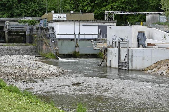 Am Stauwehr in Lrrach entsteht eine Fischtreppe