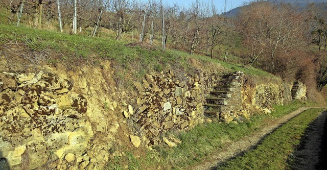 Trockenmauern am Ren-Schickele-Weg bei Badenweiler-Lipburg   | Foto: Silke Hartenstein