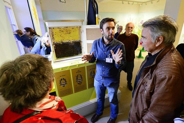 Sogar lebende Bienen gibt es in der Ausstellung.  | Foto: Ingo Schneider