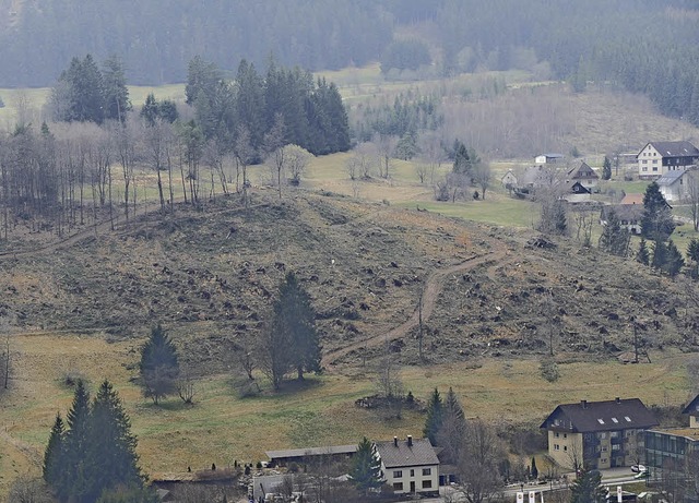 Die Schchele-Anlagen bleiben fr Bike... voraussichtlich mitte Juni gesperrt.   | Foto: Ralf Morys