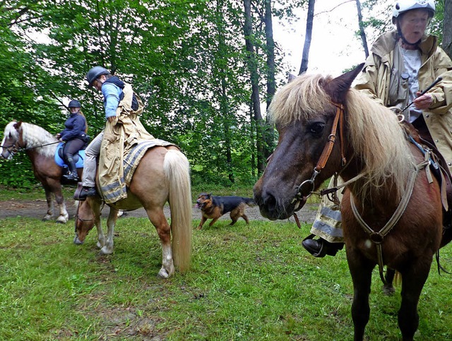 Wasserfest: Reiter bei der Rallye in Vrstetten   | Foto: Bachmann-Goronzy