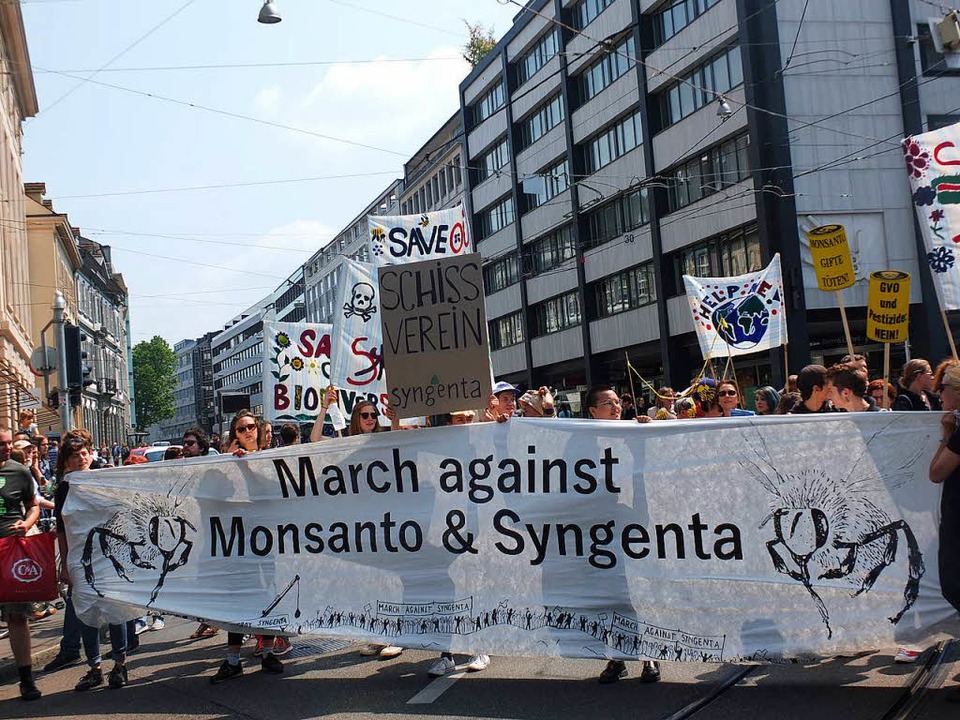March against Monsanto in Basel  | Foto: Martina David-Wenk