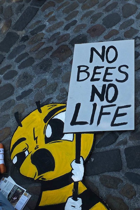 March against Monsanto in Basel  | Foto: Martina David-Wenk