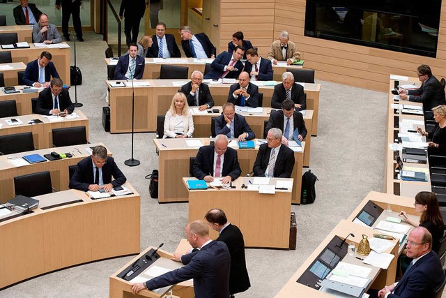 AfD-Abgeordnete im Stuttgarter Landtag   | Foto: dpa