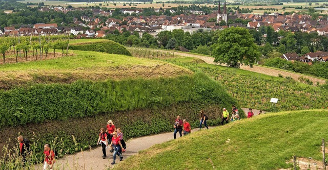 Von Kenzingen fhrte die Weinwanderung nach Wagenstadt.   | Foto: Werner Schnabl