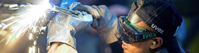 Schweier werden knftig in Schopfheim ausgebildet.  | Foto: Patrick Pleul (DPA)