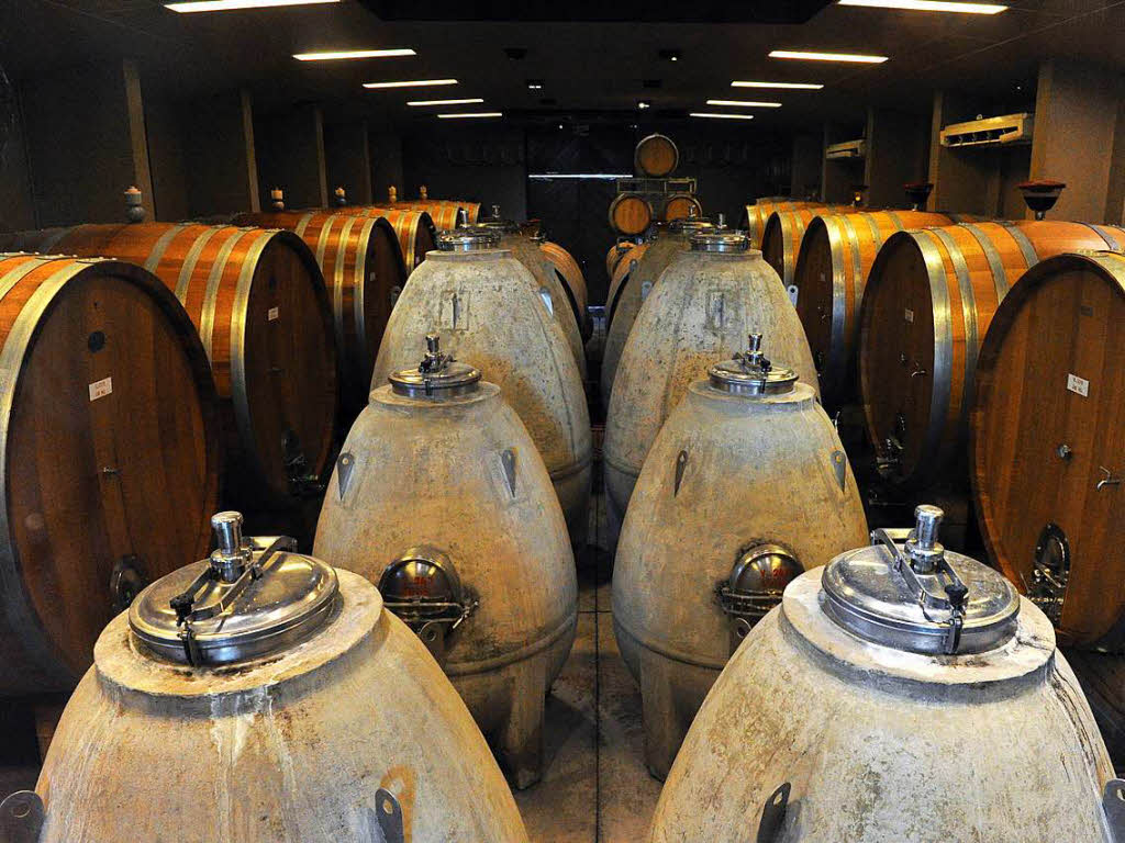Weinregion Mendoza, Weingut Trapiche