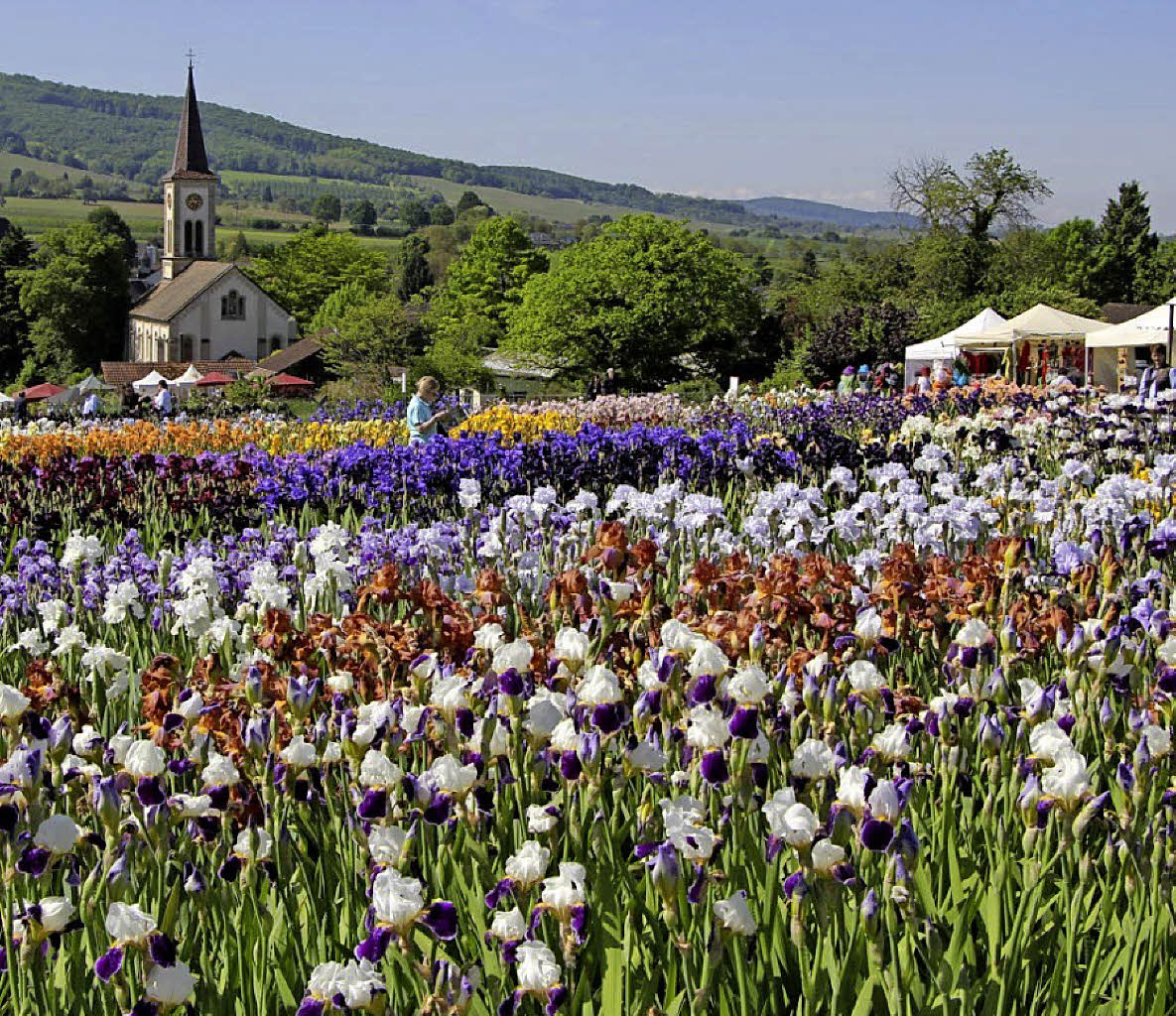 Rund um den Garten in Laufen Sulzburg Badische Zeitung