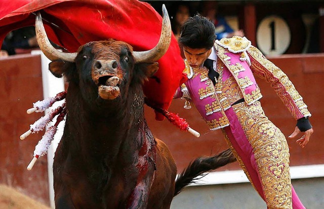 Ein Stierkampf in Spanien.  | Foto: dpa