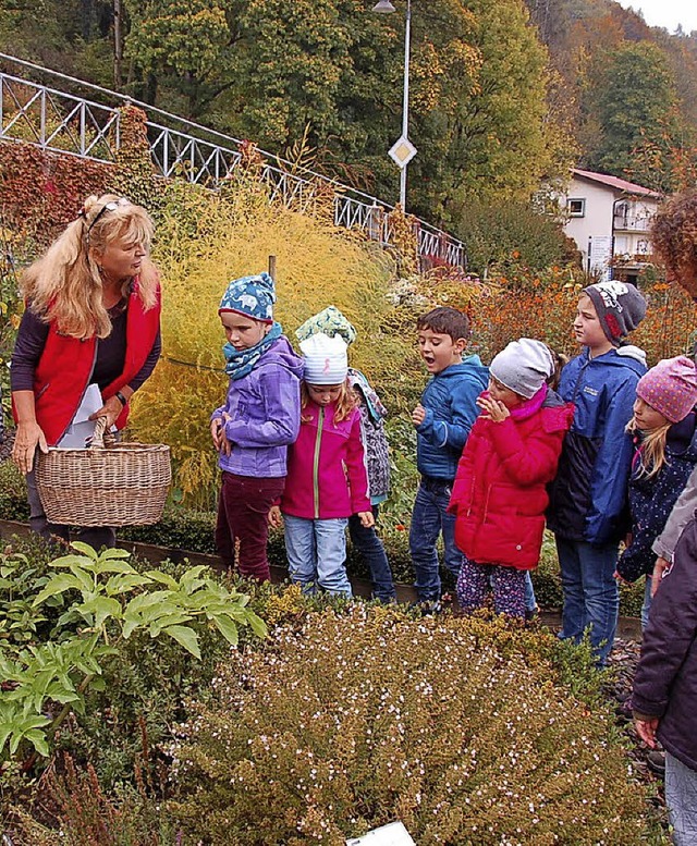 Kruterstunde im Sthlinger Schrgarte...stellung in der Schr am Stadtgraben.   | Foto: Schwarzwaldverein