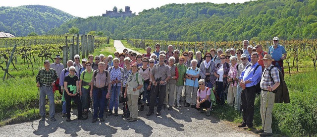 Schwarzwaldvereinsmitglieder in den Pflzer Reben, im Hintergrund die Burg.    | Foto: Schwarzwaldverein