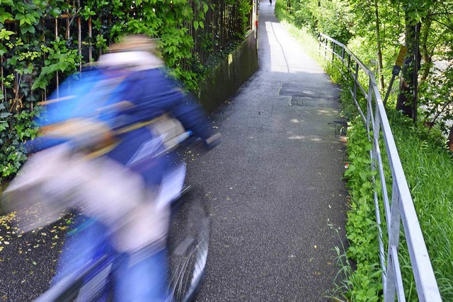 Der Mann kam von einem Pfad auf den Radweg gefahren.  | Foto: Michael Bamberger