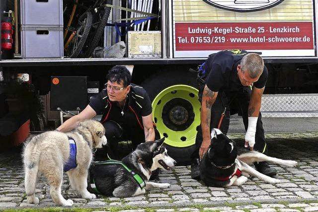 Huskytouren im Stadtwald