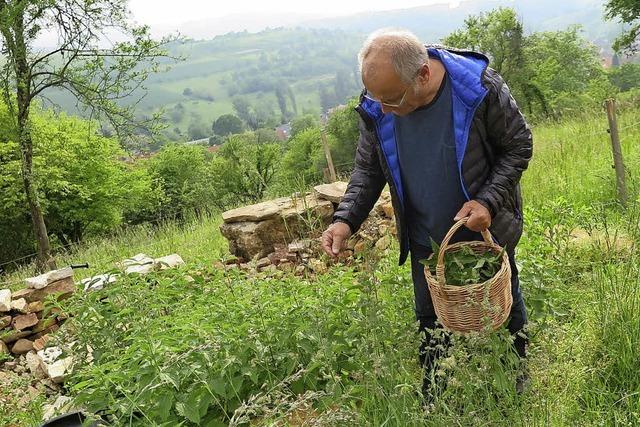 Gesundes und Leckeres am Wegesrand