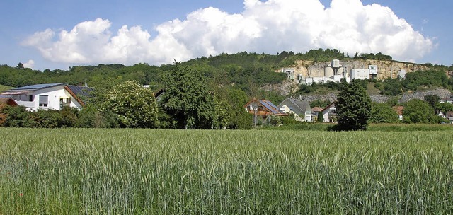 Wo heute noch Ackerland ist, sollen neun Baupltze erschlossen werden.   | Foto: Frey