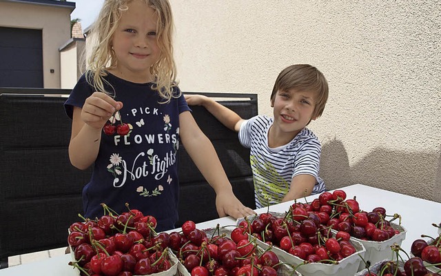 Lina und Hugo verkaufen dieses Wochene...enfest in Endingen-Knigschaffhausen.   | Foto:  hab