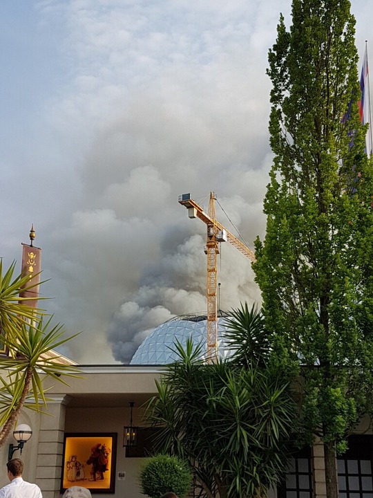 Die Rauchwolke ber dem Park war ber viele Kilometer hinweg zu sehen.  | Foto: Karl Kovacs