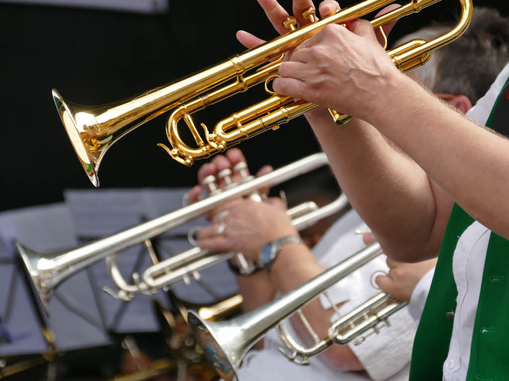 Musikverein Grunern (Sonntag, 11 Uhr, Marktplatz)