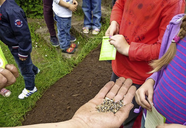 Die Kinder des Naturkindergartens  erf...hrem Garten und treffen eine Imkerin.   | Foto: Stadt Neuenburg