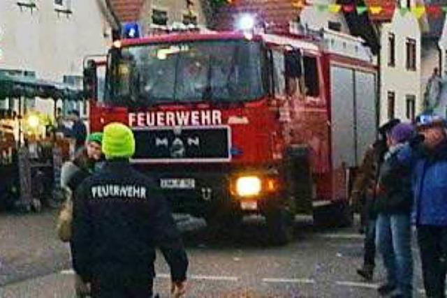 Warum durfte die Feuerwehr aus Rheinhausen nicht im Europa-Park lschen?