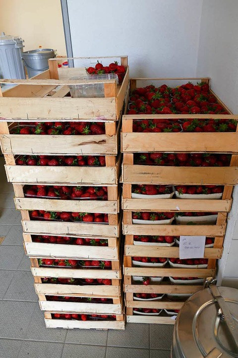 Ein Teil der Erdbeeren, die verbraucht wurden  | Foto: Franziska Riepl