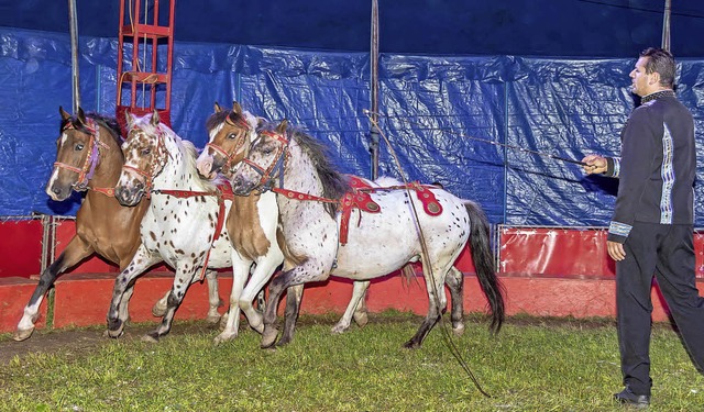 Daniel Weisheit zeigte den Zirkusbesuchern seine Pferdedressur.   | Foto: Chris Seifried
