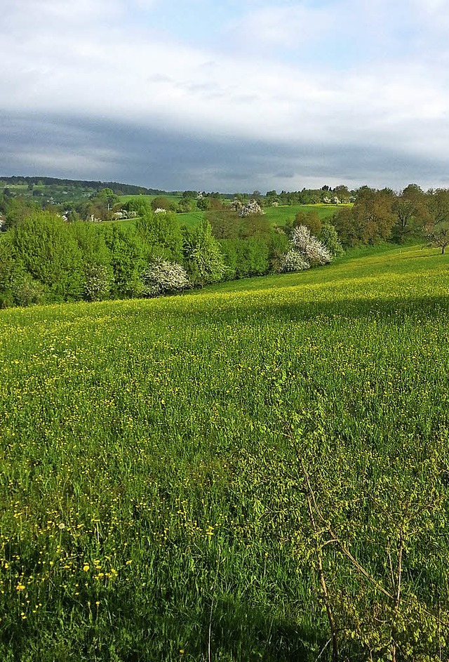 Beim Erlebnisprogramm Dinkelberg geht ... 2. Juni zum Aussichtsturm Hohe Flum.   | Foto: BUND