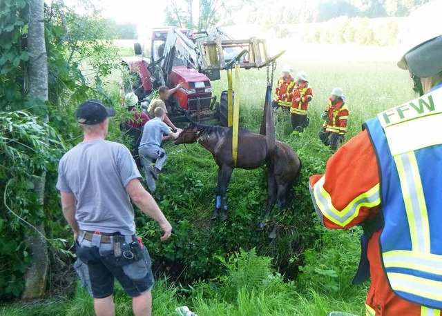 Landwirte und Feuerwehrmitglieder ziehen das verunglckte Pferd aus dem Graben.  | Foto: Polizei