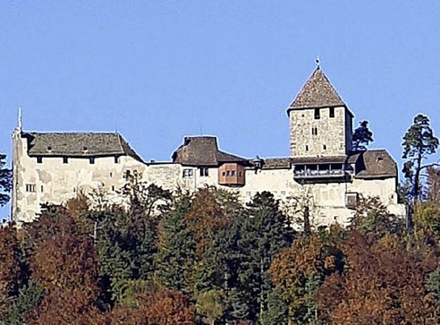 Burg Hohenklingen in Stein a. Rhein   | Foto: Jezler Concept