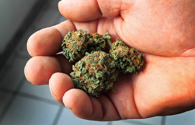 Cannabisblten, Basis fr Marihuana    | Foto: dpa