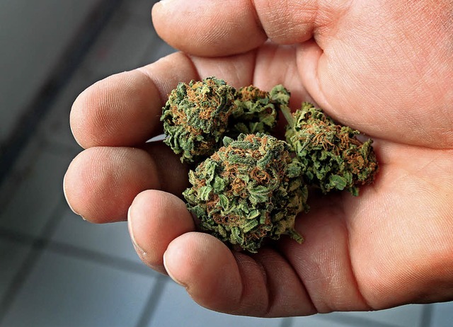 Cannabisblten, Basis fr Marihuana    | Foto: dpa