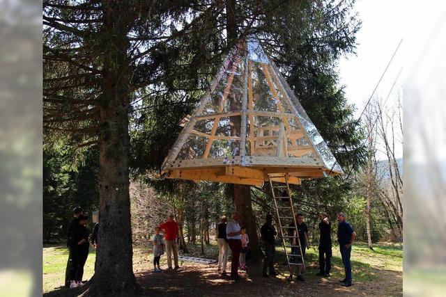 Im Naturcamp in Schluchsee baumelt neuerdings ein Baumhaus